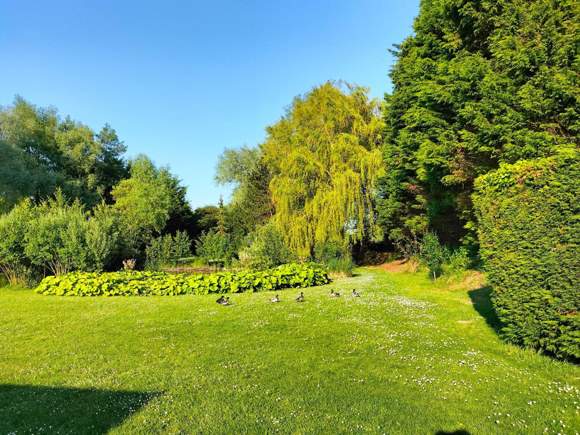 Bed and Breakfast La Mouillere Verton Exterior foto